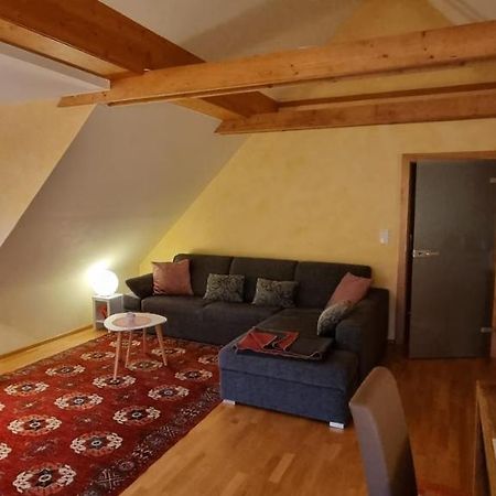 Apartment Mittelpunkt - Kaufmann Sankt Stefan ob Leoben 외부 사진