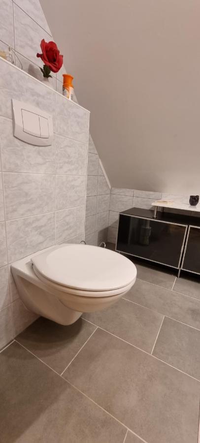 Apartment Mittelpunkt - Kaufmann Sankt Stefan ob Leoben 외부 사진